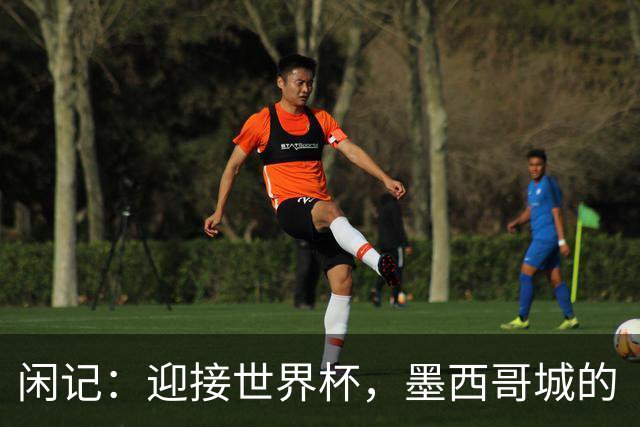 闲记：迎接世界杯，墨西哥城的“蝾螈化”实验